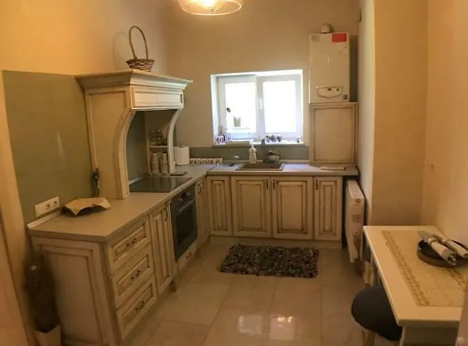 Vintige * Cluj-Napoca